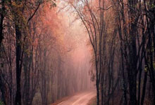 水晶宫球队备战状态神勇，尽力拼搏