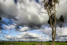 水晶宫球队备战状态神勇，尽力拼搏