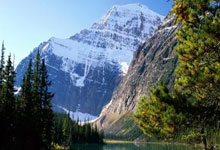 卡迪夫城主场惜败，降级形势危急