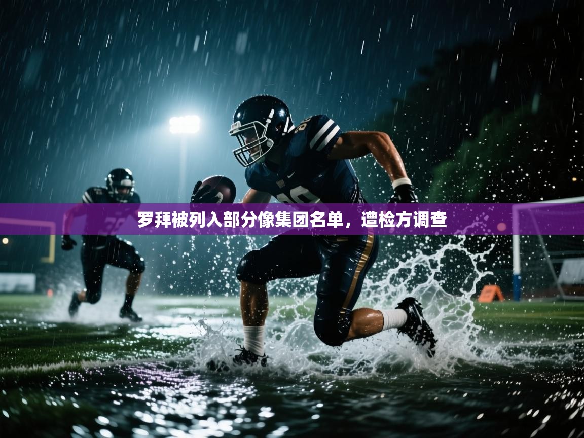 罗拜被列入部分像集团名单,遭检方调查 第2张