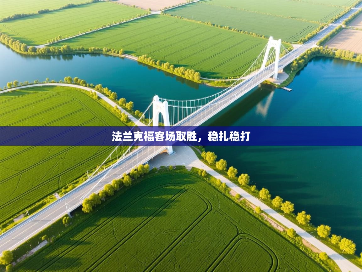 法兰克福客场取胜,稳扎稳打 第2张