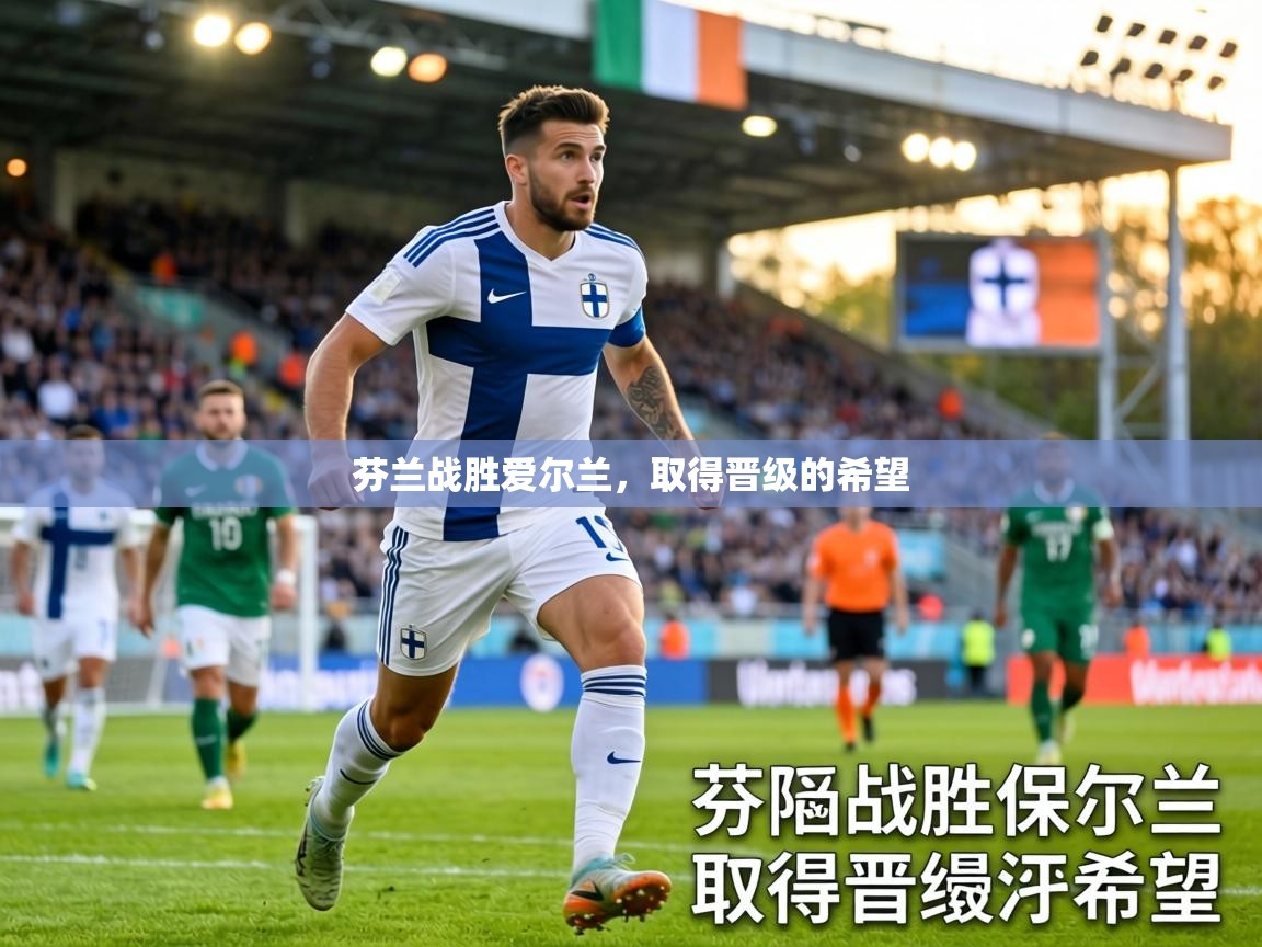 芬兰战胜爱尔兰,取得晋级的希望 第2张