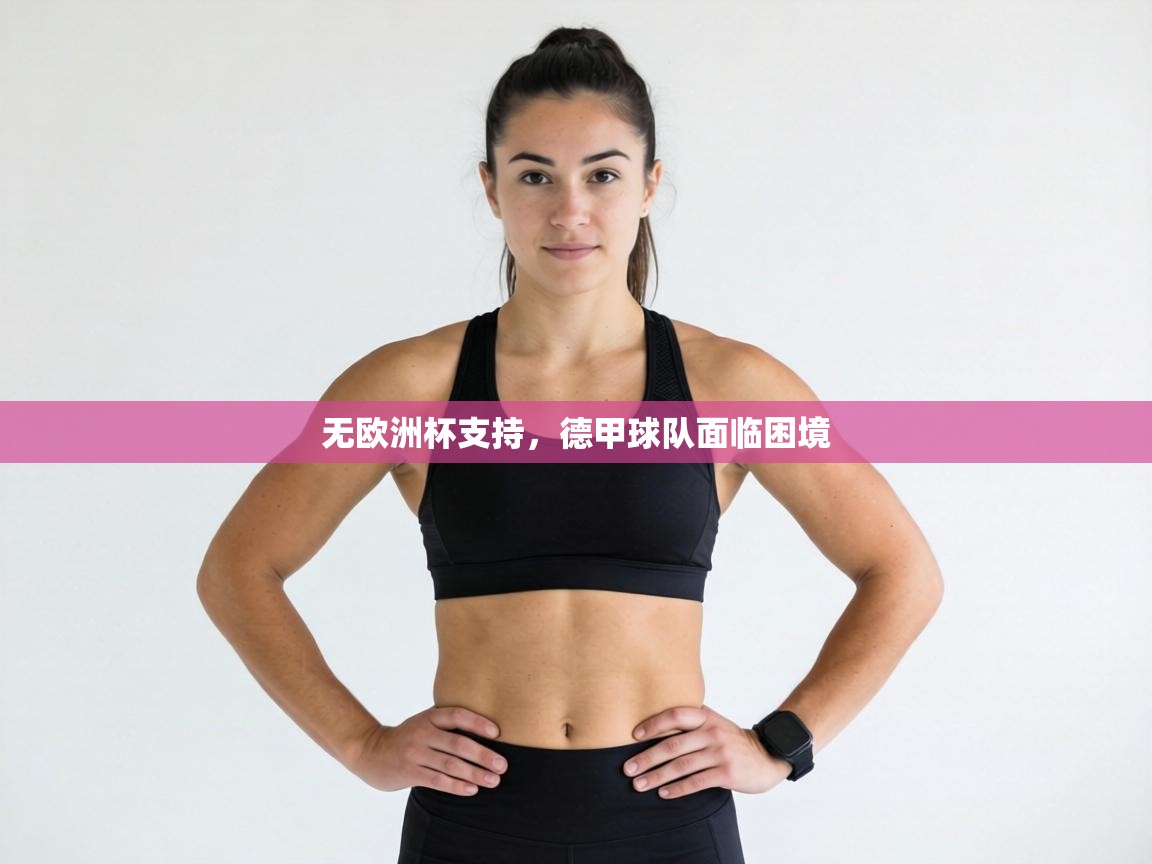 无欧洲杯支持，德甲球队面临困境