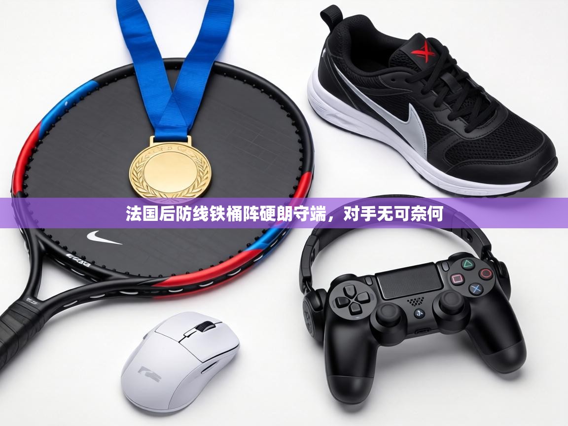 法国后防线铁桶阵硬朗守端,对手无可奈何 第1张